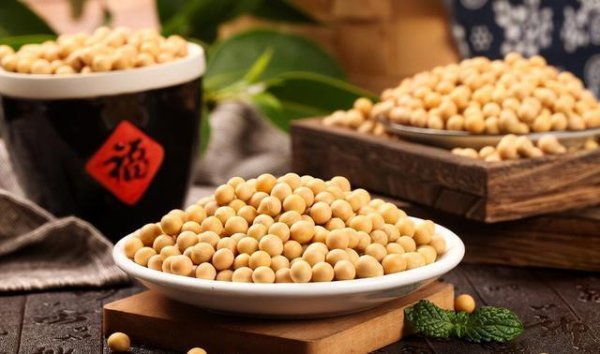 国华通配资 中美贸易战火升级，大豆库存告急，价格飙升的真相你知道吗？