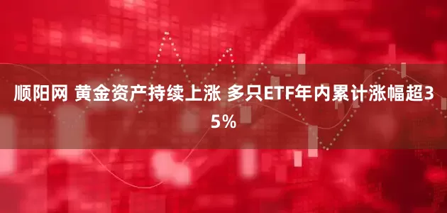 顺阳网 黄金资产持续上涨 多只ETF年内累计涨幅超35%