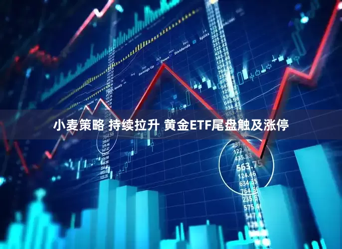 小麦策略 持续拉升 黄金ETF尾盘触及涨停
