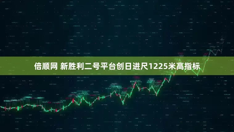 倍顺网 新胜利二号平台创日进尺1225米高指标