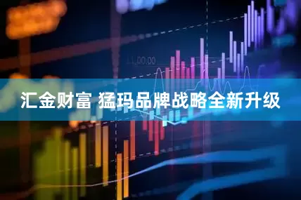 汇金财富 猛玛品牌战略全新升级