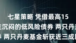 七星策略 凭借最高15倍杠杆押注沉闷的低风险债券 两只丹麦基金斩获近三成回报